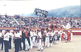 {short description of image}